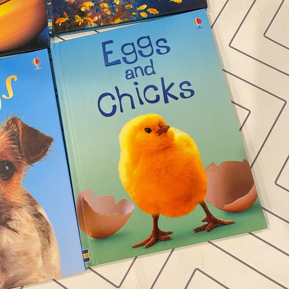 Bundle of Usborne Beginners Books - Picture 3 of 8